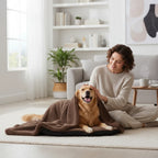 Kodi & Co. brown plush pet blanket draped over a golden retriever while a woman pets the dog in a cozy living room.