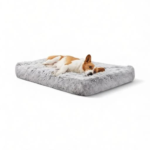 Kodi & Co. grey plush memory foam dog bed with a small dog resting comfortably on top