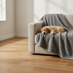 A golden retriever puppy sleeping on a grey Kodi & Co. plush blanket draped over a beige sofa in a sunlit room.