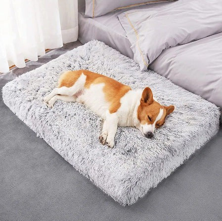 Kodi & Co. plush square memory foam dog bed in light gray, featuring a sleeping corgi on a soft, textured surface.